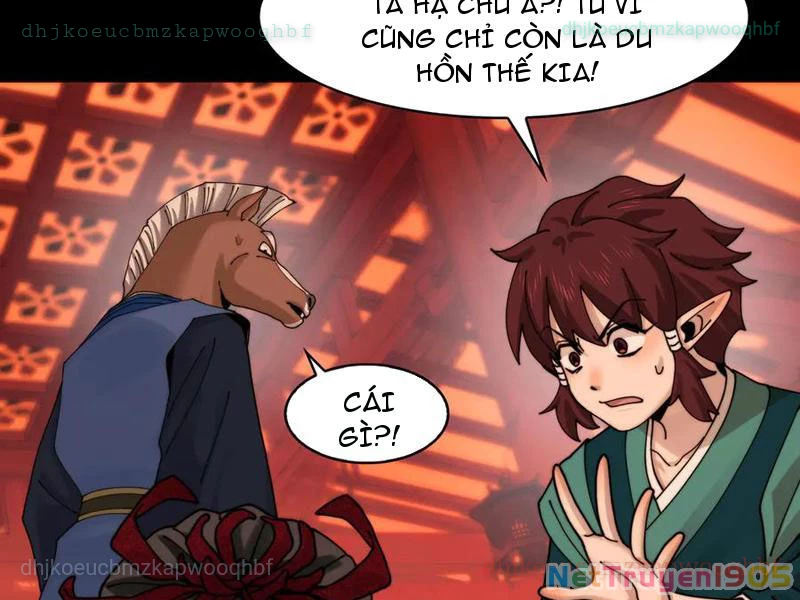Trước mặt bệnh tâm thần, quỷ dị chẳng là gì cả Chapter 158 - 77
