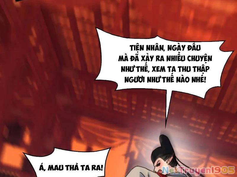 Trước mặt bệnh tâm thần, quỷ dị chẳng là gì cả Chapter 158 - 92