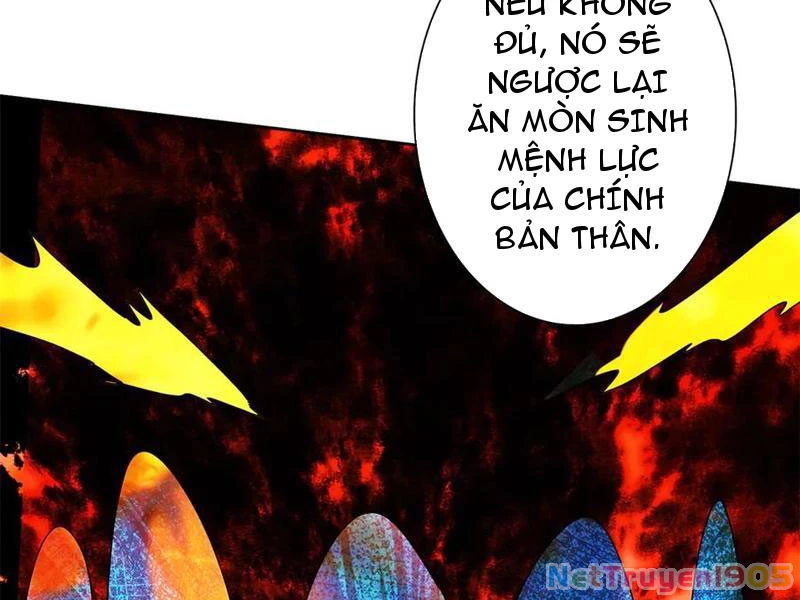 Sau Khi Sống Lại Ở Mạt Thế, Ta Điên Cuồng Thăng Cấp Chapter 62 - 140