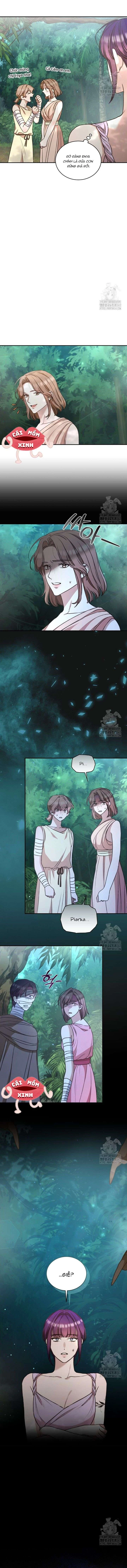 Khu Rừng Hoang Dã Chapter 38 - 11