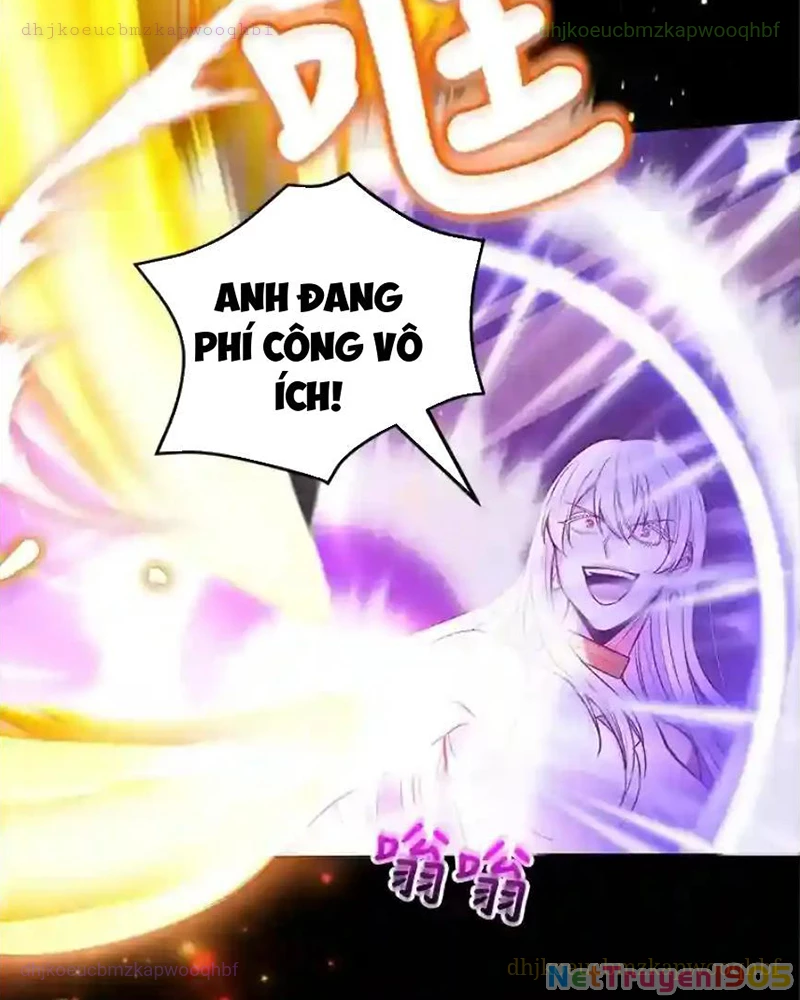 Tôi May Mắn Triệu Hồi Được Tinh Linh Hộ Vệ Hạng 10 Chapter 23 - 33