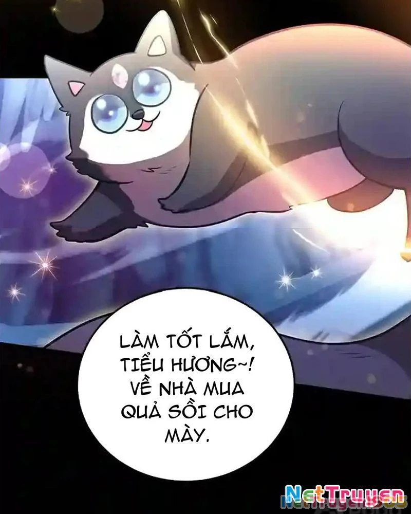 Tôi May Mắn Triệu Hồi Được Tinh Linh Hộ Vệ Hạng 10 Chapter 23 - 61