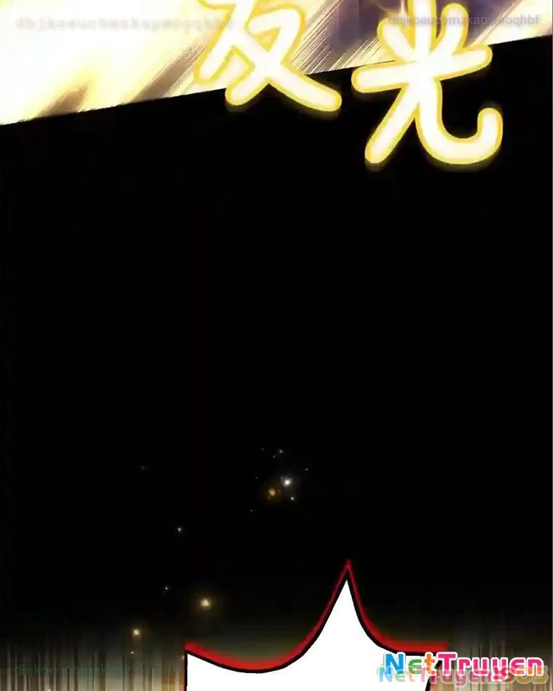 Tôi May Mắn Triệu Hồi Được Tinh Linh Hộ Vệ Hạng 10 Chapter 23 - 81