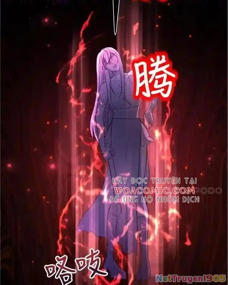 Tôi May Mắn Triệu Hồi Được Tinh Linh Hộ Vệ Hạng 10 Chapter 23 - 138