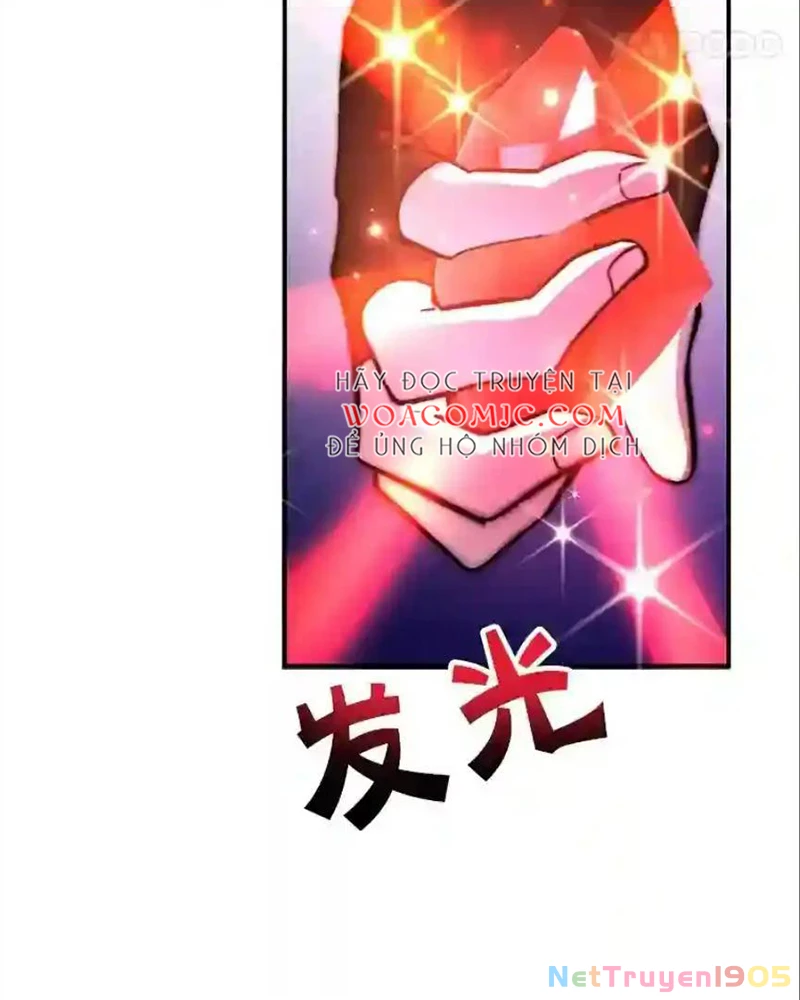 Tôi May Mắn Triệu Hồi Được Tinh Linh Hộ Vệ Hạng 10 Chapter 24 - 24