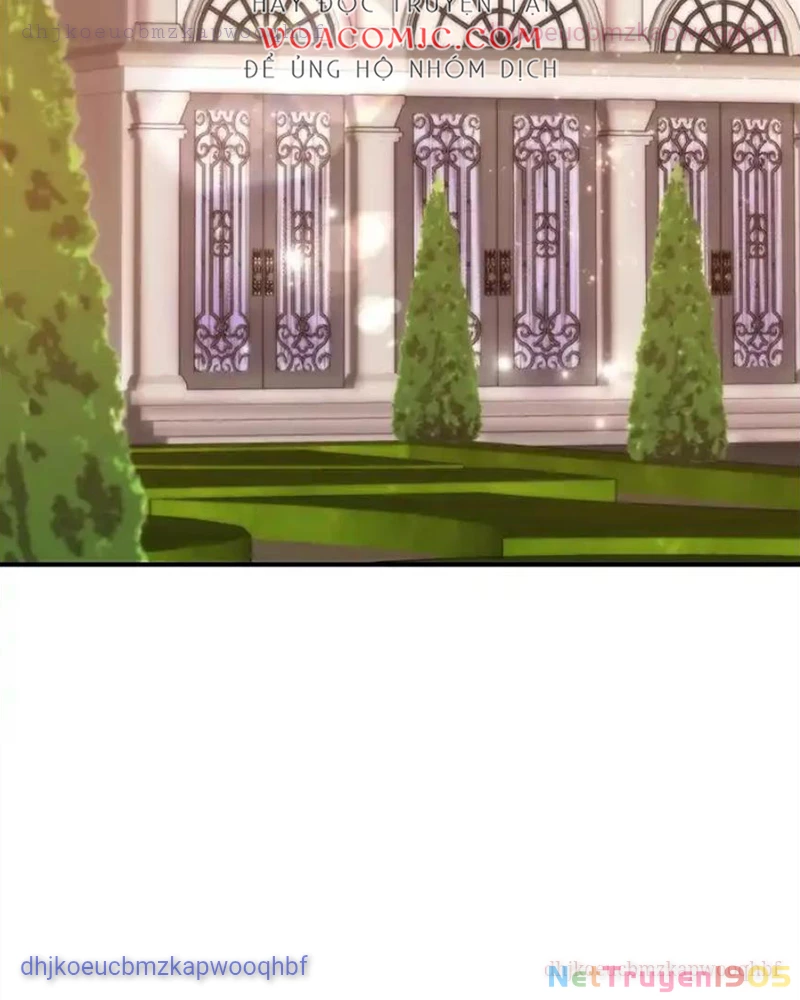 Tôi May Mắn Triệu Hồi Được Tinh Linh Hộ Vệ Hạng 10 Chapter 25 - 33