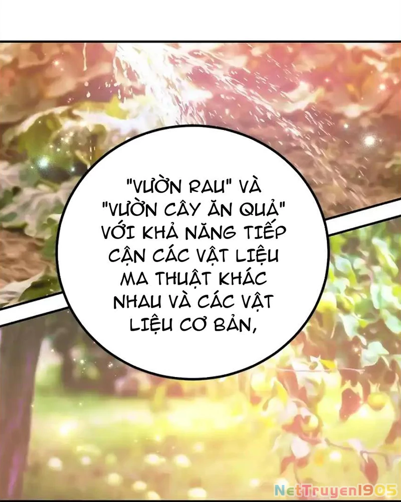 Tôi May Mắn Triệu Hồi Được Tinh Linh Hộ Vệ Hạng 10 Chapter 25 - 48