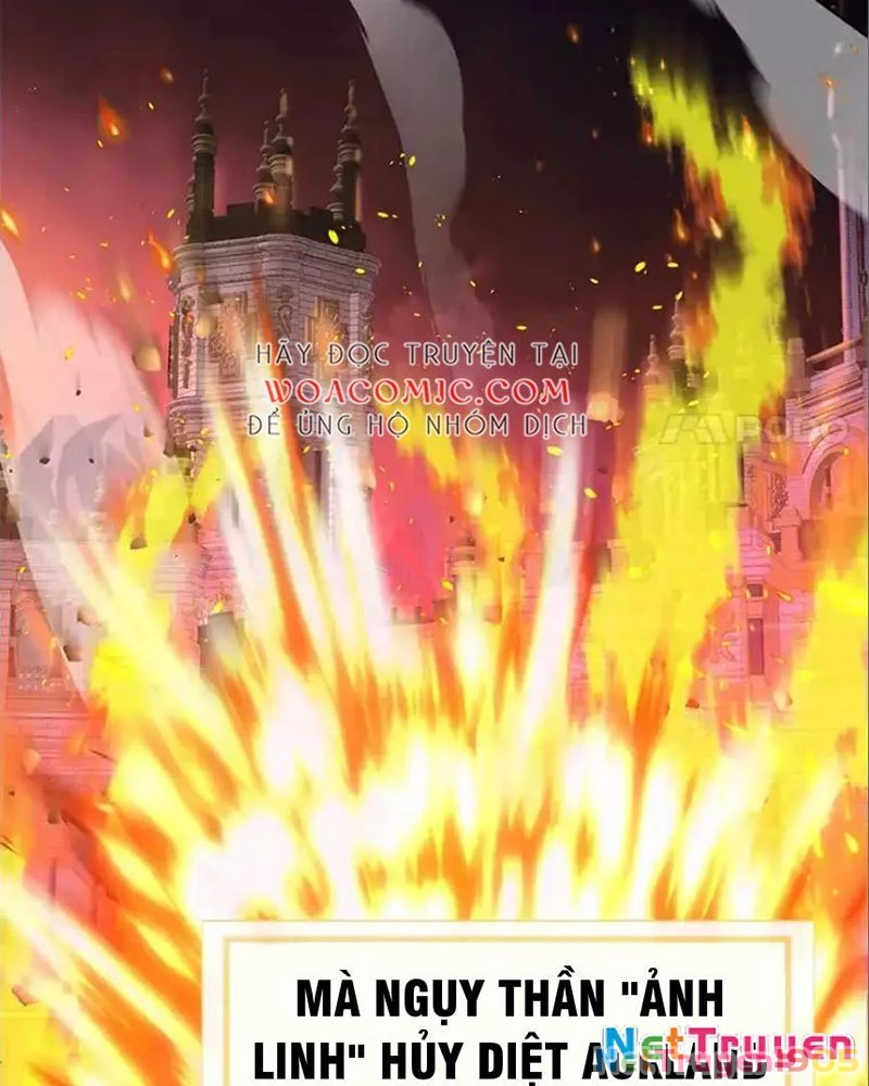 Tôi May Mắn Triệu Hồi Được Tinh Linh Hộ Vệ Hạng 10 Chapter 26 - 66