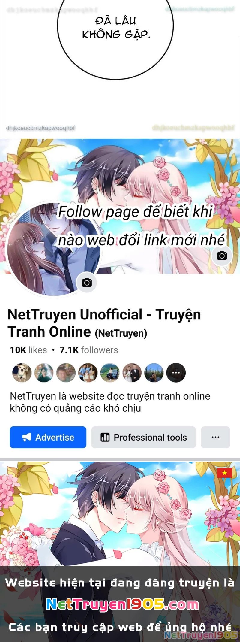 Tôi May Mắn Triệu Hồi Được Tinh Linh Hộ Vệ Hạng 10 Chapter 26 - 119