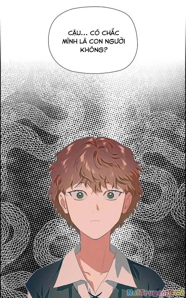 Đèn Băng - Biên Niên Sử Kira Chapter 4 - 26