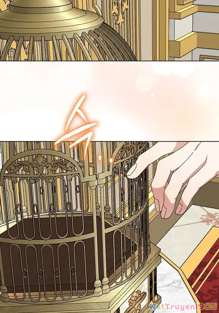Tân Hoàng Hậu Chapter 26 - 52