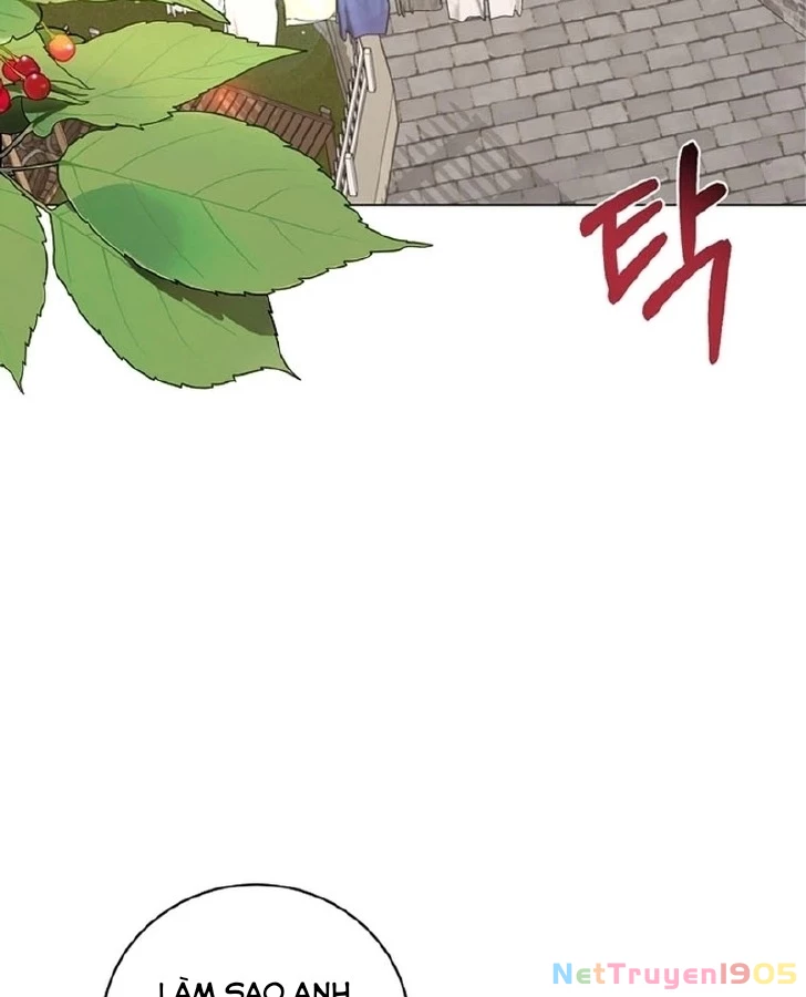 Cách Từ Chối Lời Mời Của Nhà Vua Chapter  1 - 31