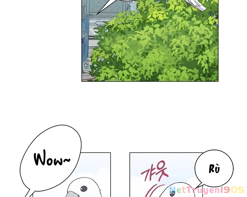 Cách Từ Chối Lời Mời Của Nhà Vua Chapter  4 - 60