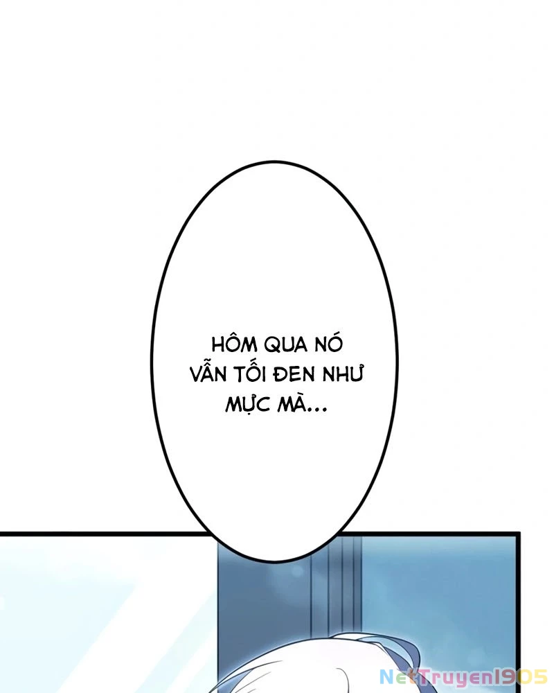 Hắc Ma Pháp Sư Kẻ Duy Nhất Trở Lại Quá Khứ Với Kỹ Năng Gian Lận Siêu Việt Chapter 2 - 14