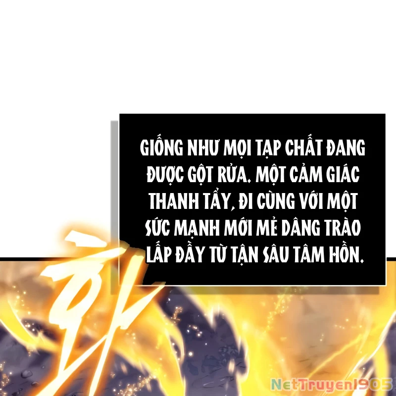 Thế Giới Sau Tận Thế Chapter 195 - 24