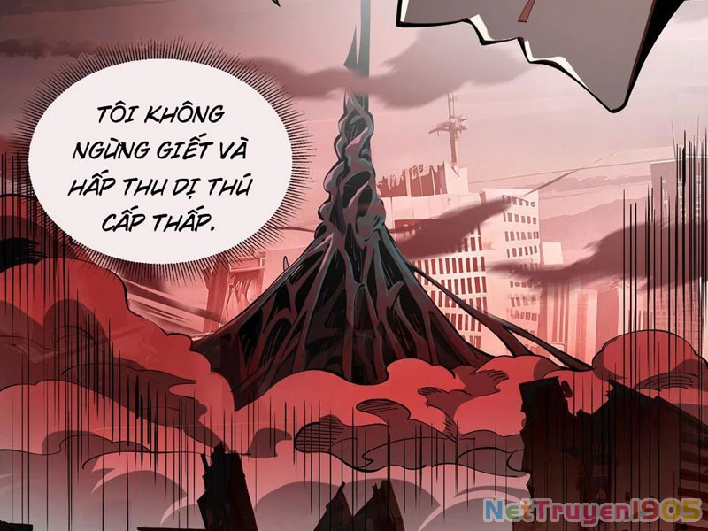 Tai Ách Giáng Lâm: Ta Tiến Hóa Thành Tinh Hồng Chi Vương Chapter 4 - 48