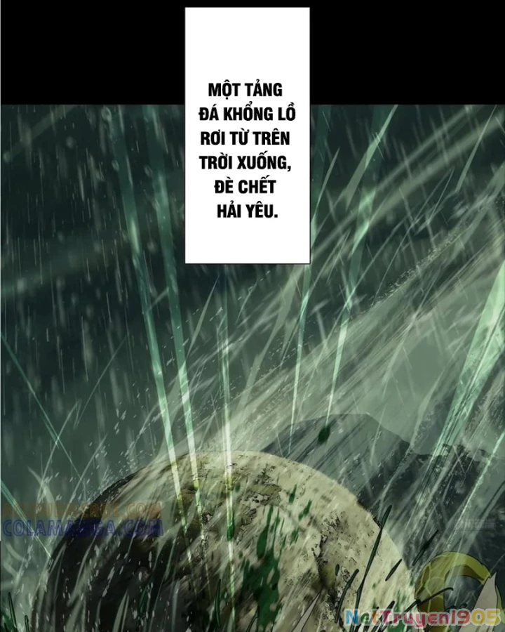 Đại Tượng Vô Hình Chapter 517 - 13