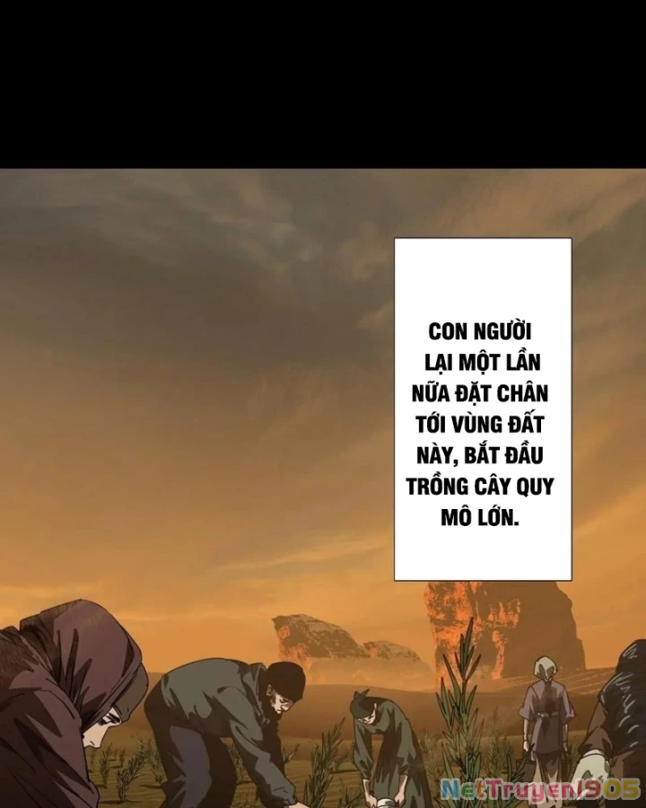 Đại Tượng Vô Hình Chapter 517 - 53
