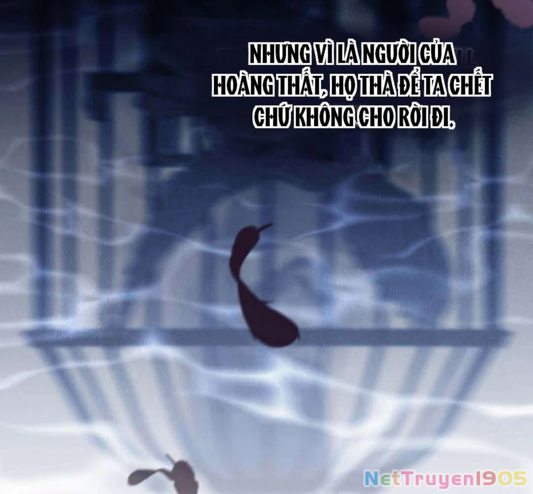 Cuộc Sống Của Nữ Vương Ác Quỷ Chapter 4 - 37