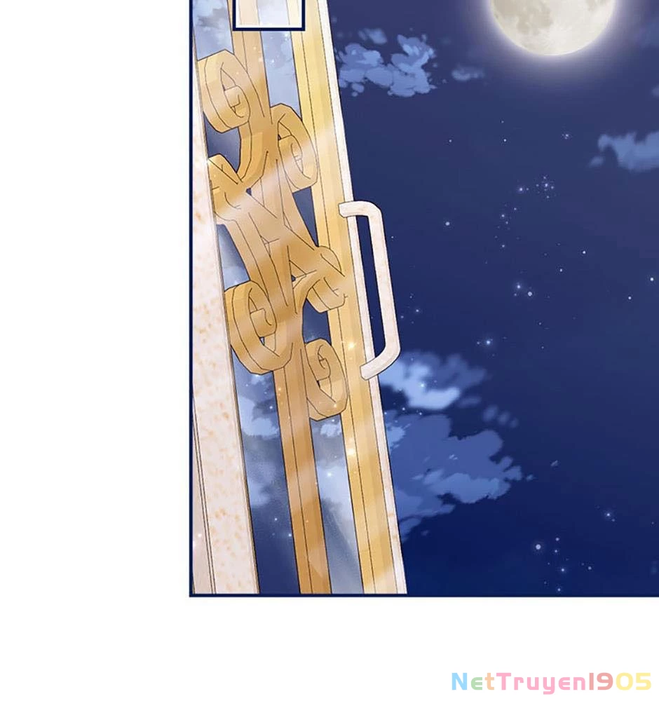 Cuộc Sống Của Nữ Vương Ác Quỷ Chapter 25 - 61