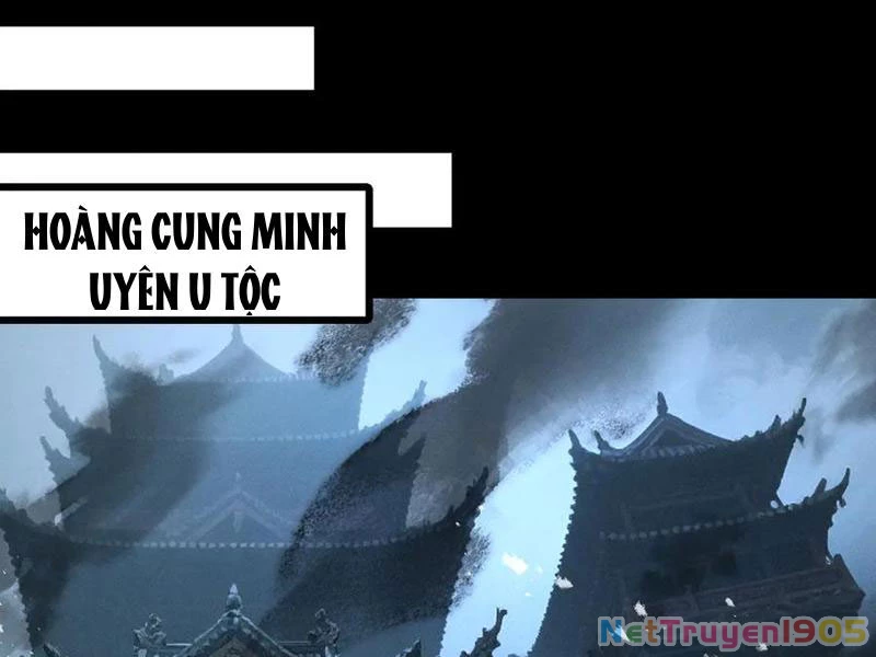 Gặp Mạnh Thì Mạnh, Ta Tu Vi Vô Thượng Hạn Chapter 71 - 55