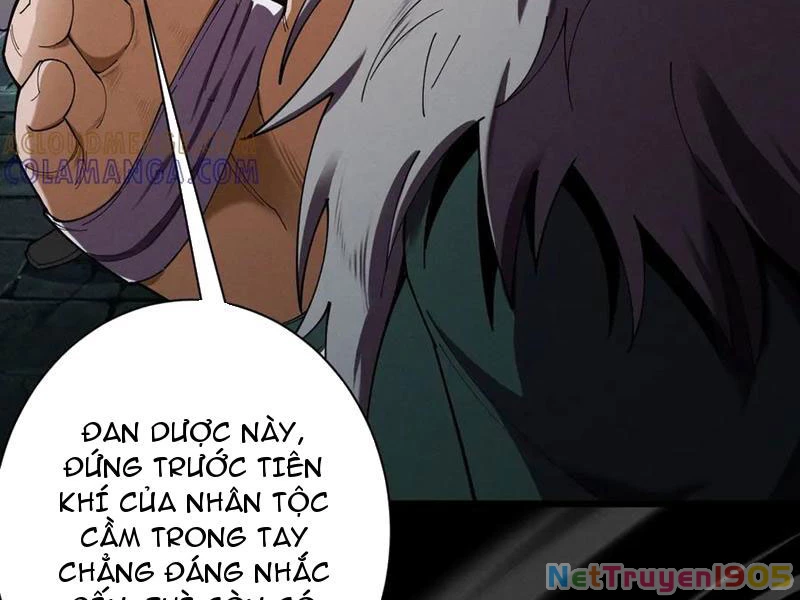 Gặp Mạnh Thì Mạnh, Ta Tu Vi Vô Thượng Hạn Chapter 71 - 66