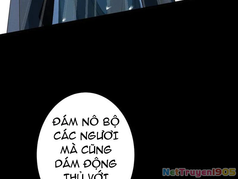 Gặp Mạnh Thì Mạnh, Ta Tu Vi Vô Thượng Hạn Chapter 71 - 85