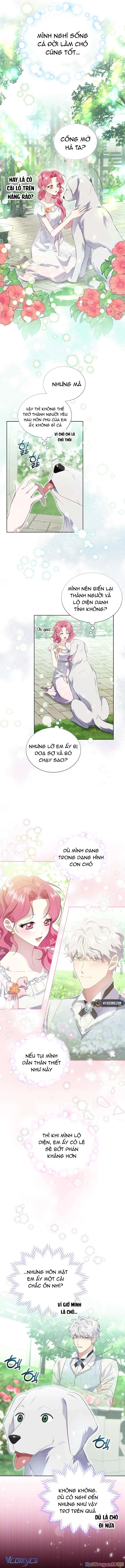 Sa Vào Vòng Tay Của Nam Chính Dịu Dàng Nhưng Chiếm Hữu Chapter 14 - 3