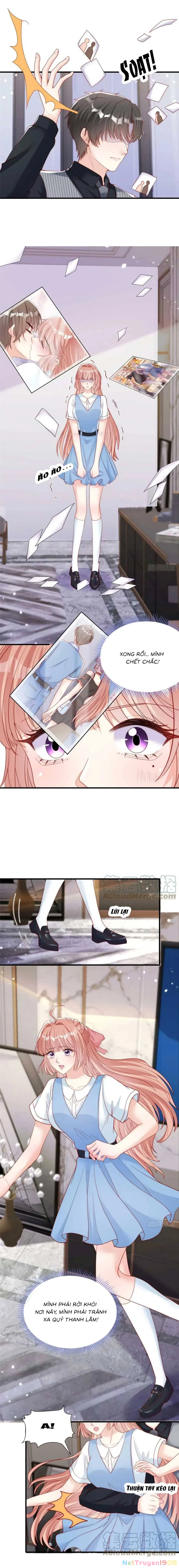 Tôi Được Năm Đại Lão Chiều Chuộng Hết Nấc Chapter  84 - 5