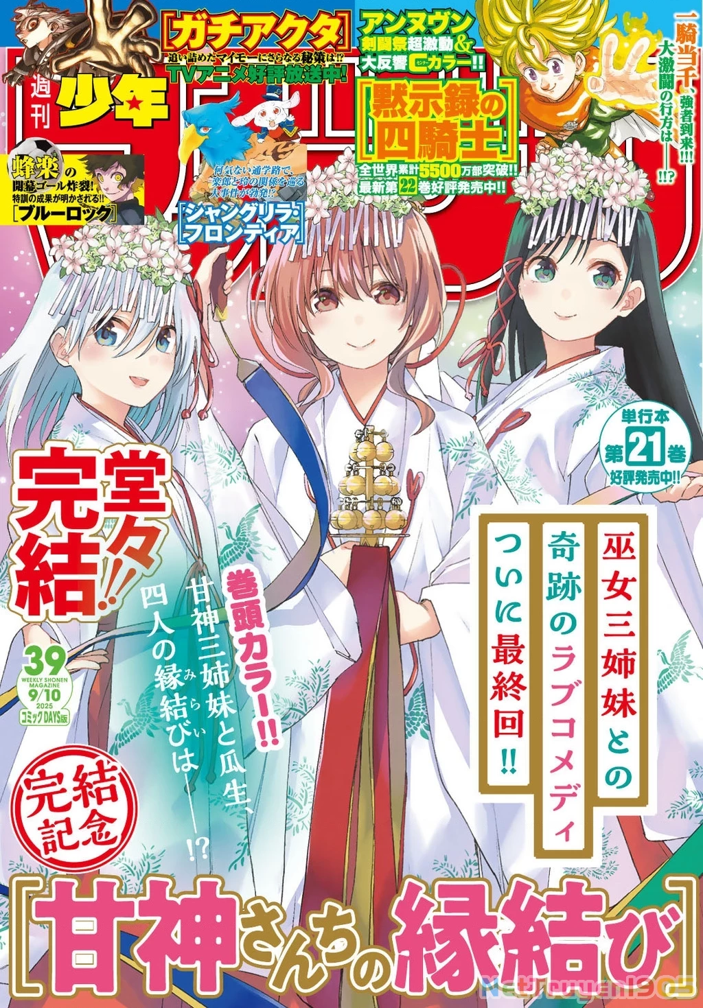 Amagami-San Chi No Enmusubi Chapter 194 - 3