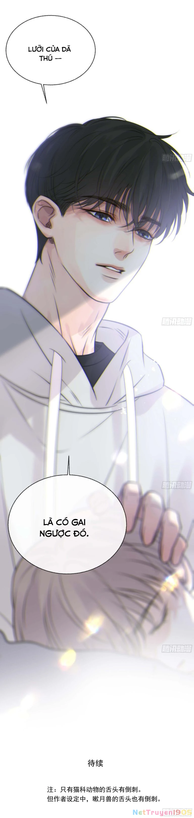 Khi Người Ngủ Say Chapter 5 - 17