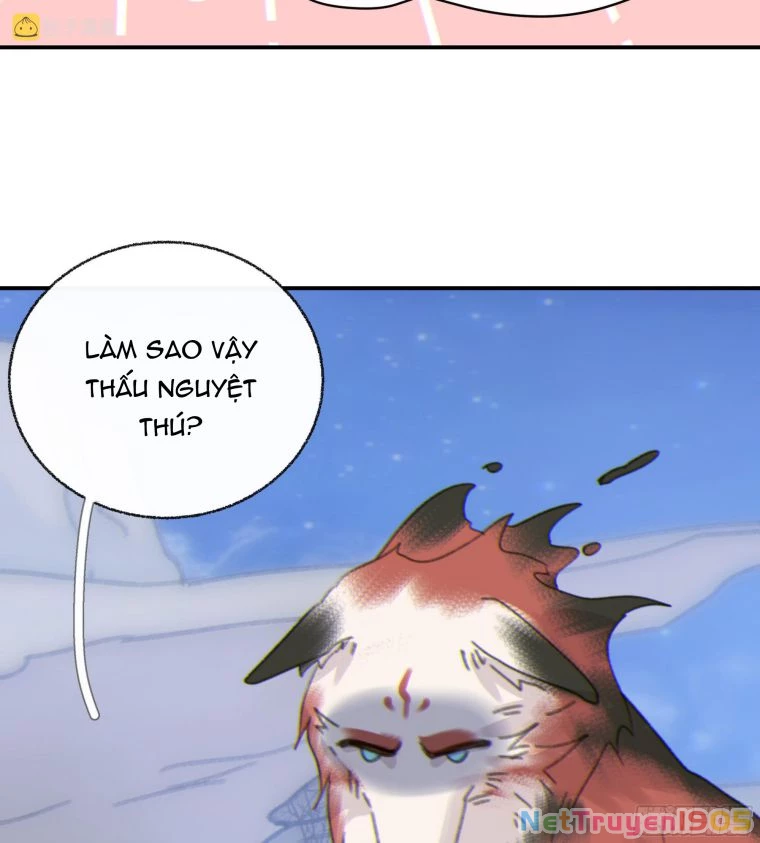 Khi Người Ngủ Say Chapter 6 - 48