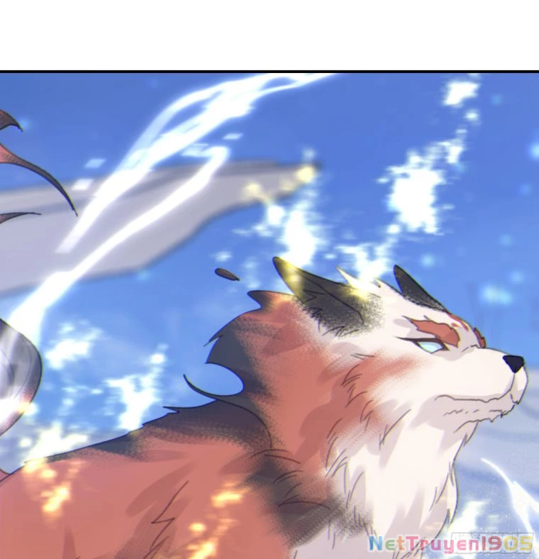 Khi Người Ngủ Say Chapter 6 - 66