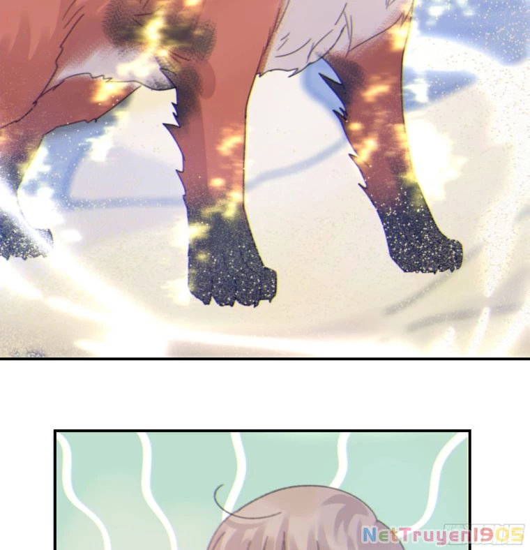 Khi Người Ngủ Say Chapter 6 - 67