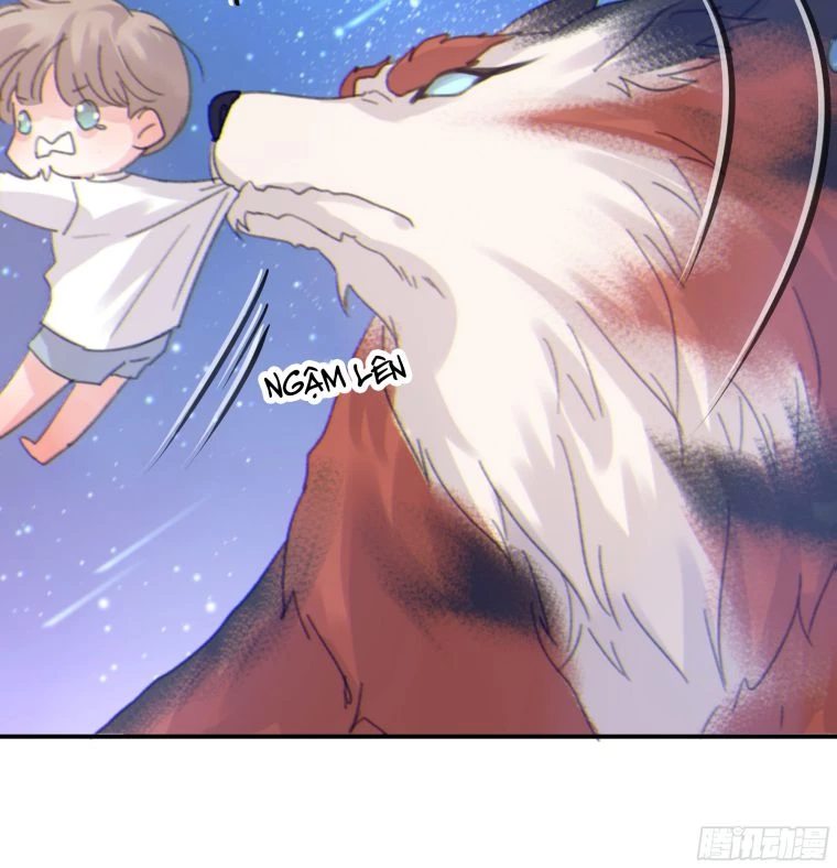 Khi Người Ngủ Say Chapter 6 - 69