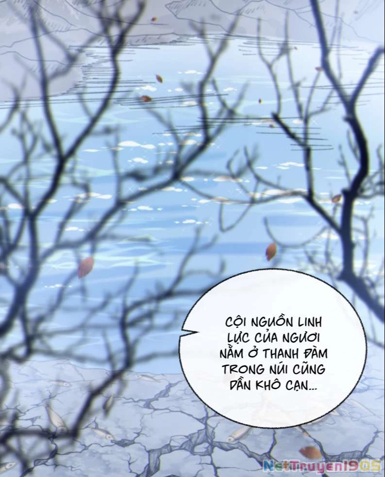 Khi Người Ngủ Say Chapter 19 - 19