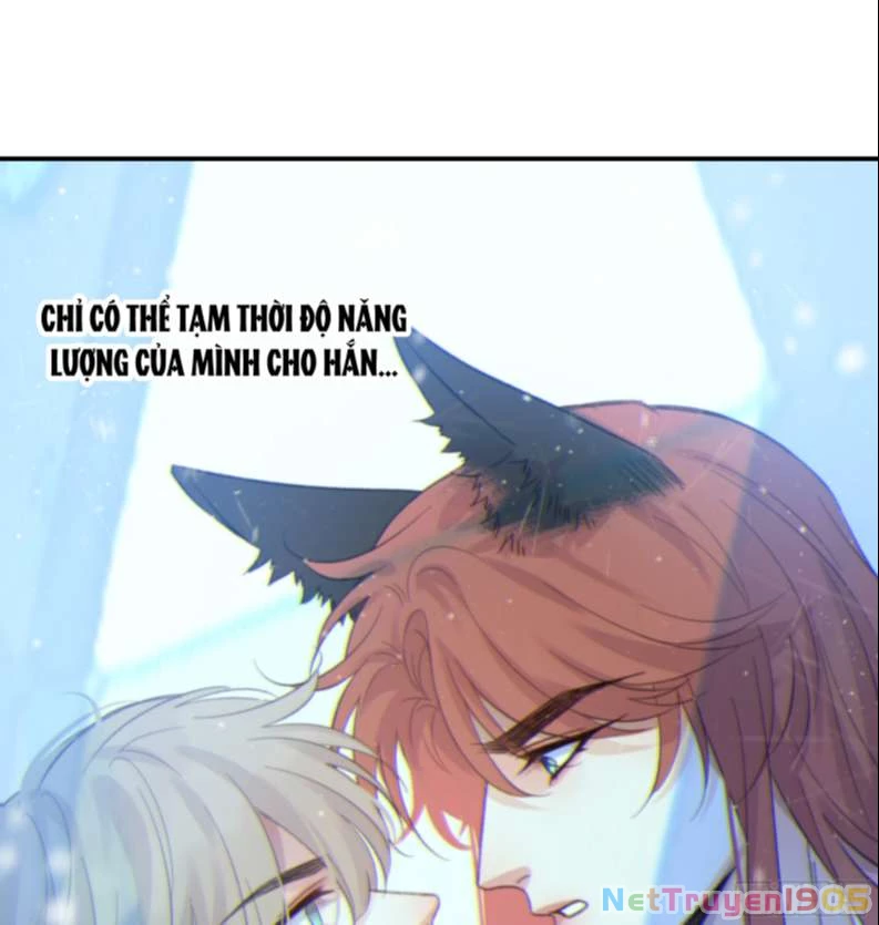 Khi Người Ngủ Say Chapter 20 - 55