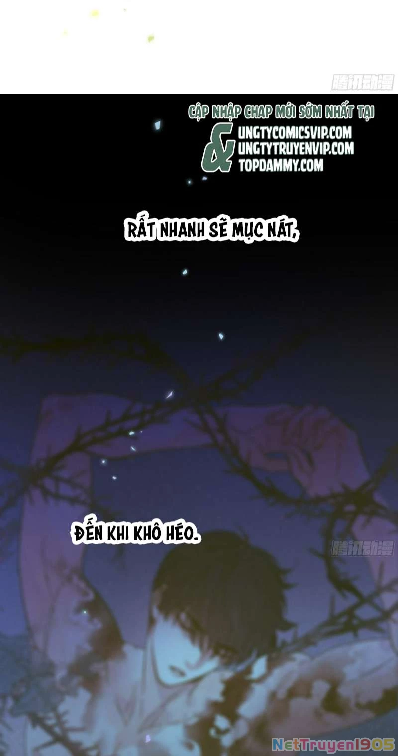 Khi Người Ngủ Say Chapter 28 - 19