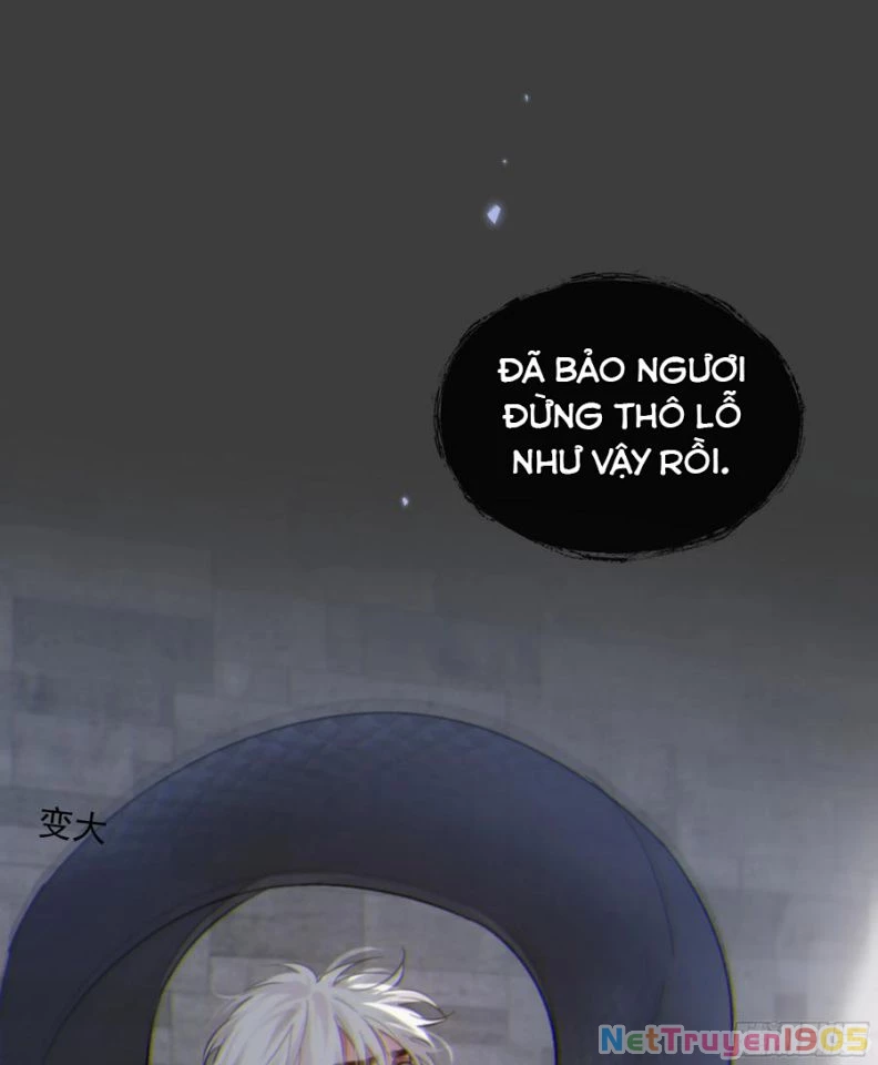 Khi Người Ngủ Say Chapter 29 - 49