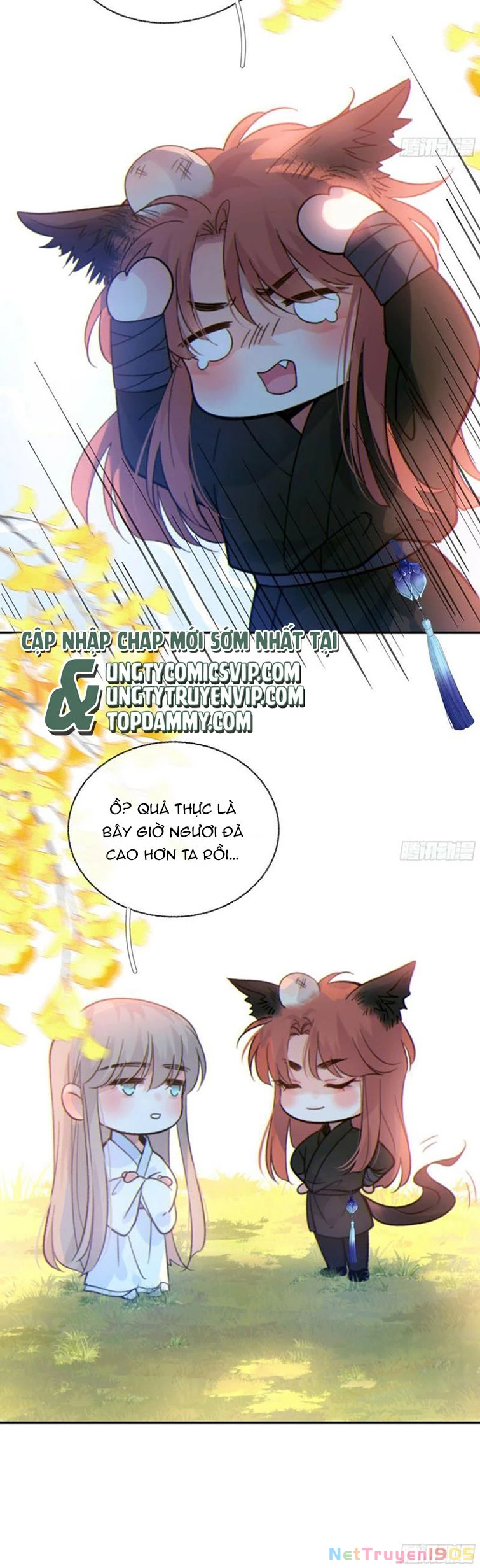 Khi Người Ngủ Say Chapter 42 - 12