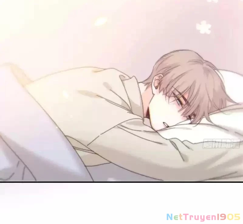 Khi Người Ngủ Say Chapter 48 - 55