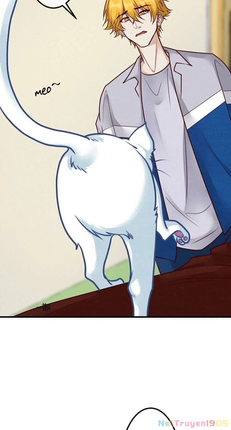 Diêm Vương Đại Nhân Cầu Ngược Tra Chapter 23 - 20