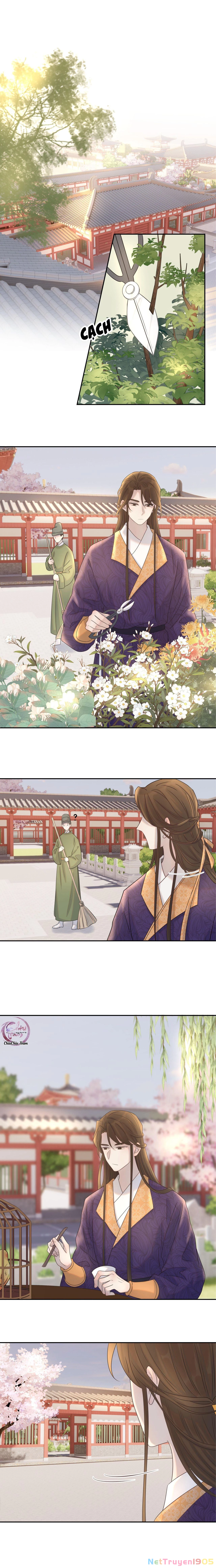 Hình Như Cầm Nhầm Kịch Bản Của Nữ Chính Rồi! Chapter 26 - 5