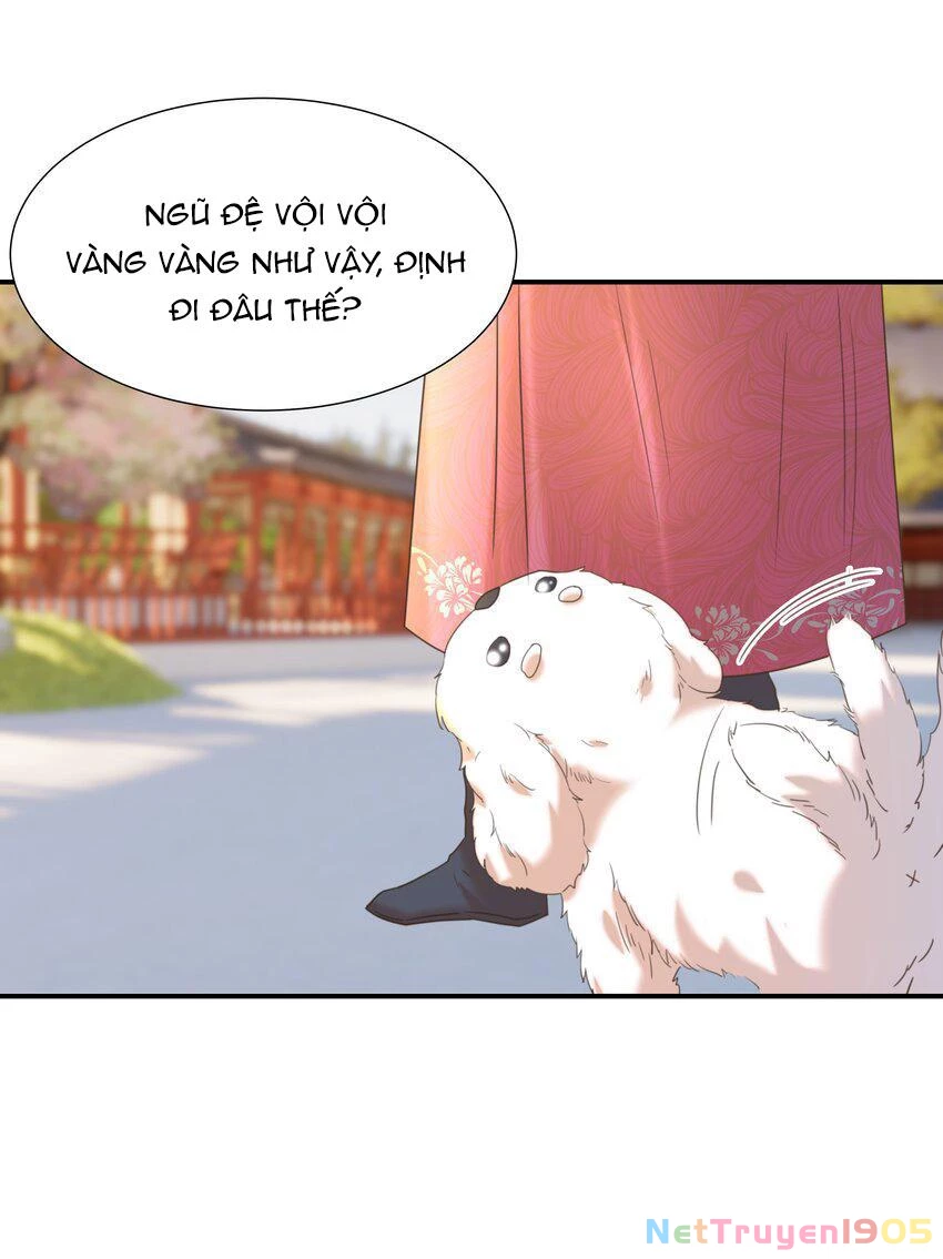 Hình Như Cầm Nhầm Kịch Bản Của Nữ Chính Rồi! Chapter 65 - 40