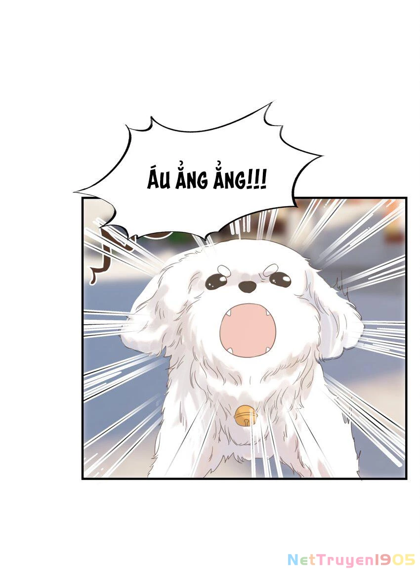 Hình Như Cầm Nhầm Kịch Bản Của Nữ Chính Rồi! Chapter 65 - 43