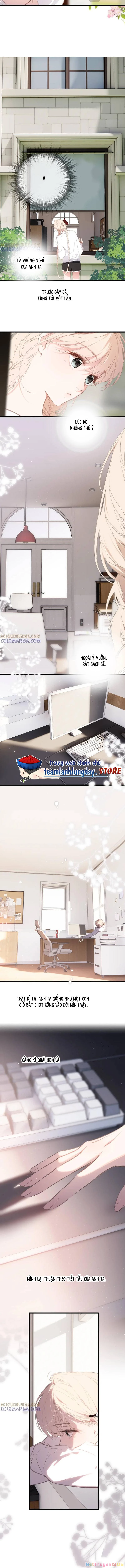 Ngược dòng về mùa xuân Chapter  51 - 5