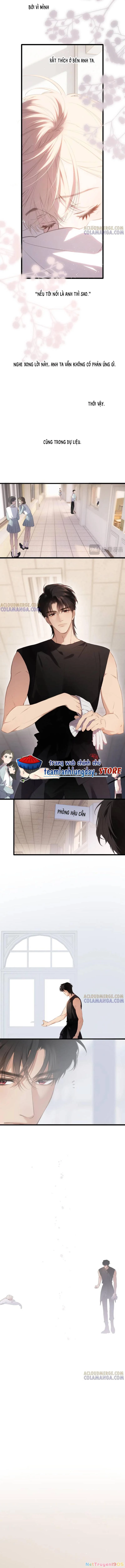 Ngược dòng về mùa xuân Chapter  51 - 6