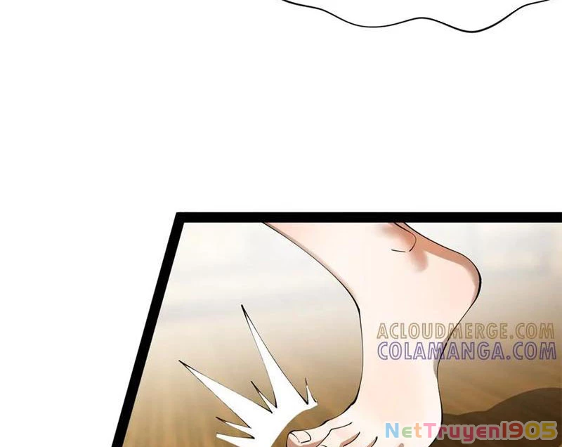 Chàng Rể Mạnh Nhất Lịch Sử Chapter 326 - 29