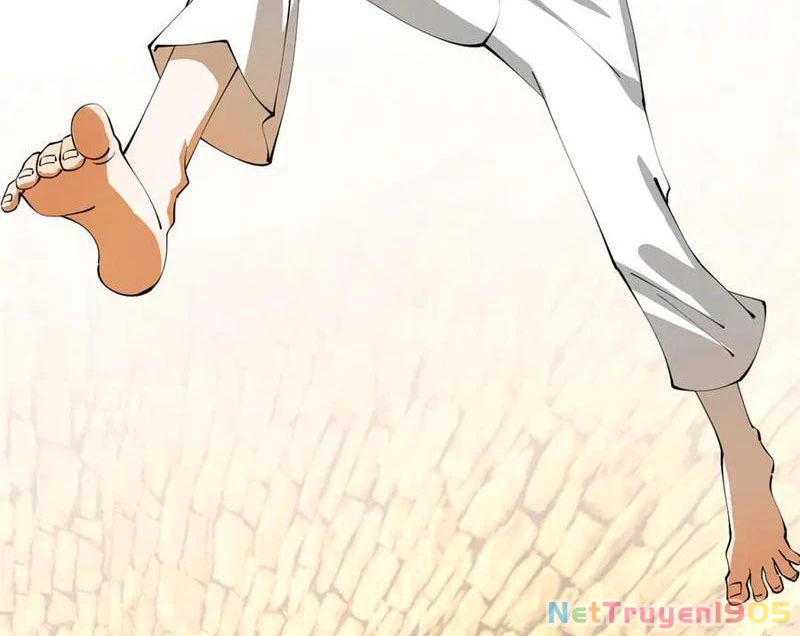 Chàng Rể Mạnh Nhất Lịch Sử Chapter 326 - 31