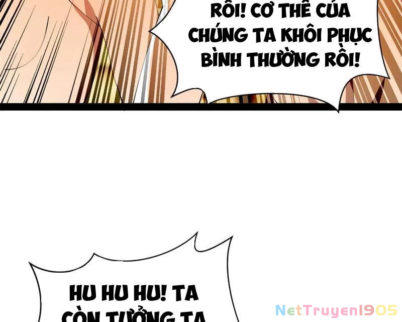 Chàng Rể Mạnh Nhất Lịch Sử Chapter 326 - 49